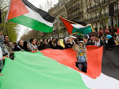 palestine_flags_protest