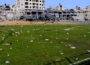 Football in Gaza offers a release from tough Gazan life (Facekoora)