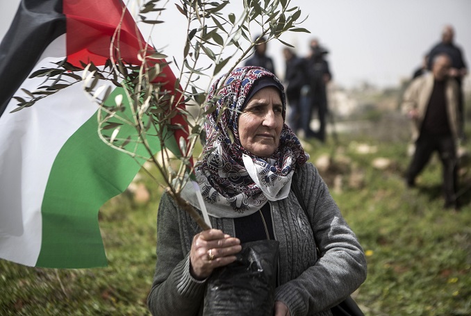Palestinian_woman_olive_anna_paq_activestills