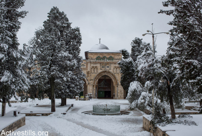 Aqsa-snow