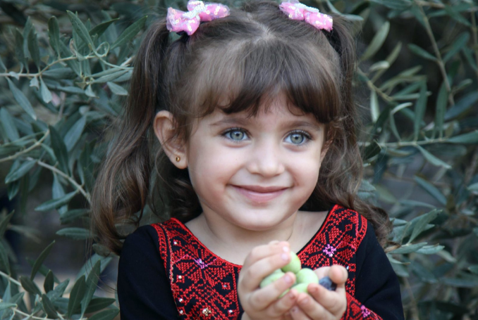 Olive-child-palestine