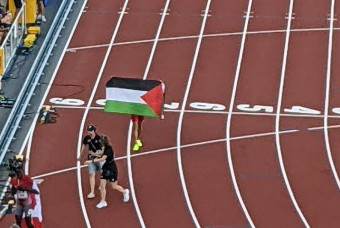 Home Page - Palestine Chronicle