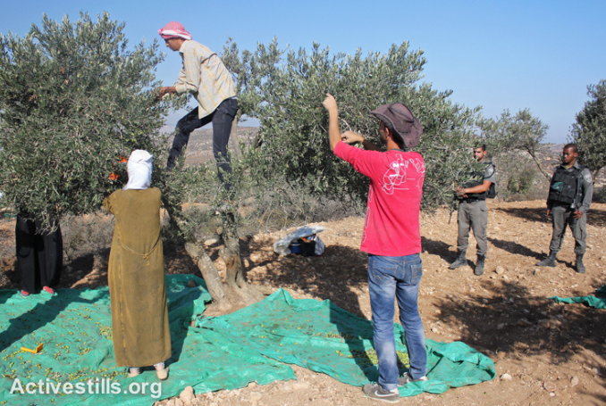 Israeli army-palestinian farmers