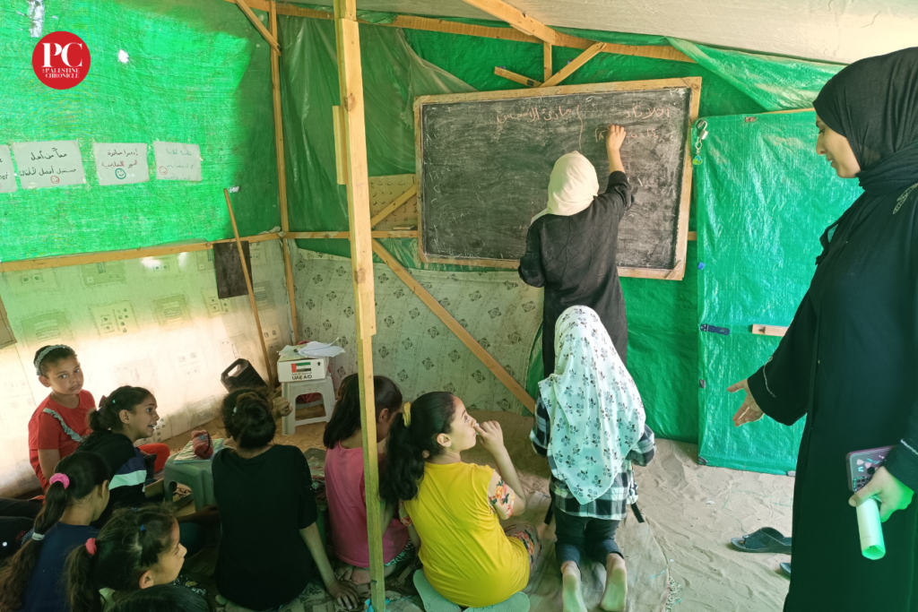 Dreams in the Rubble: A Generation in Gaza Resists through Education ...