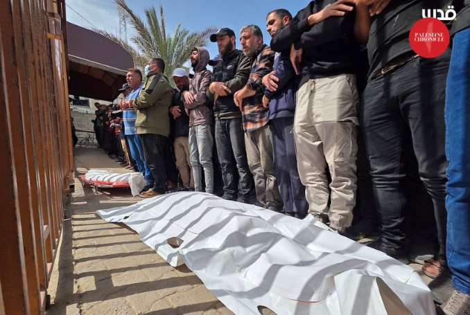 Four Palestinians Killed in Gaza as Israeli Violations Persist during Eid