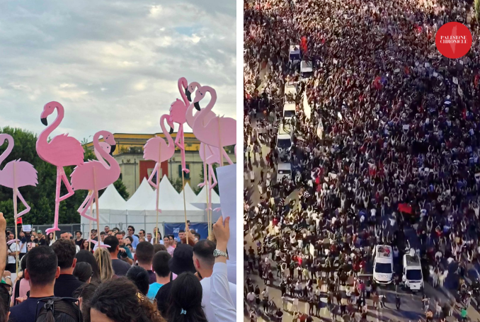 Flamingo_Protests_SM_VIDEO