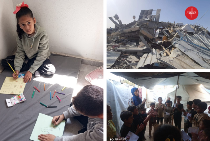 Biblioteche di Gaza