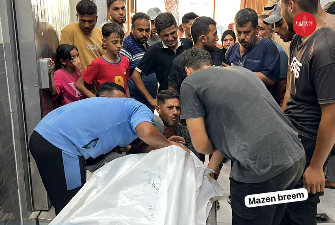Two Palestinians Killed in Israeli Drone Attacks across Gaza Strip
