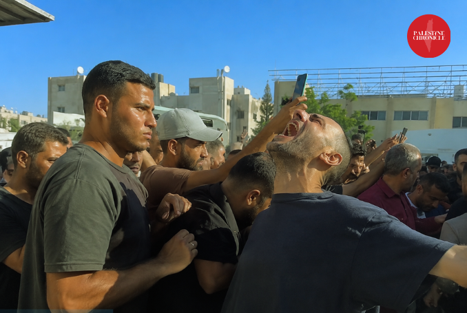 One Year Since the Prisoner Exchange: What Happened to the Freed ...