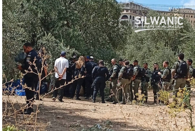Settlers_Harvest_Army_SILWAN